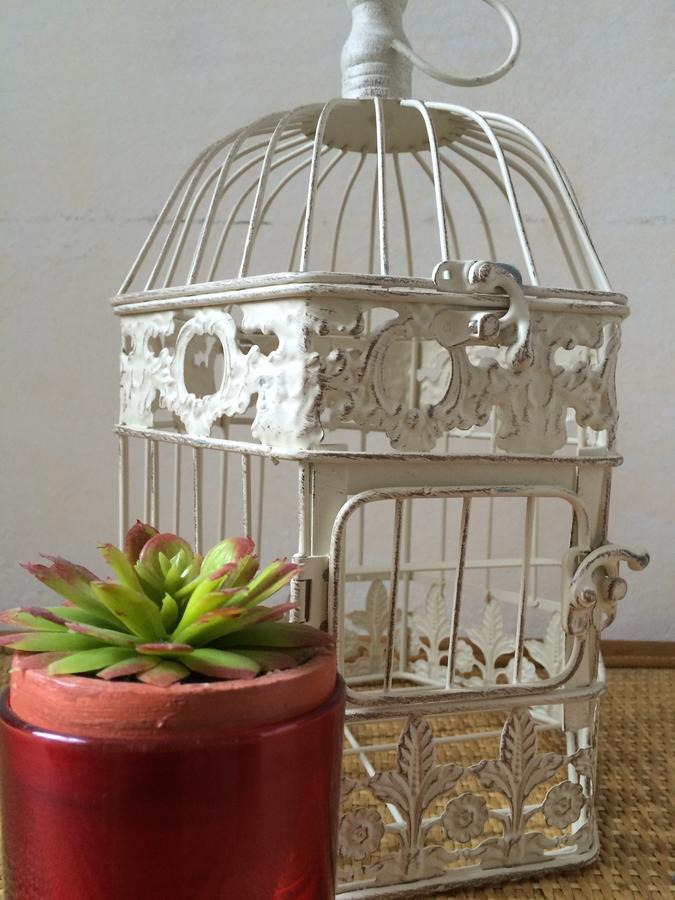 Bellini Bed & Breakfast Cagliari Bagian luar foto